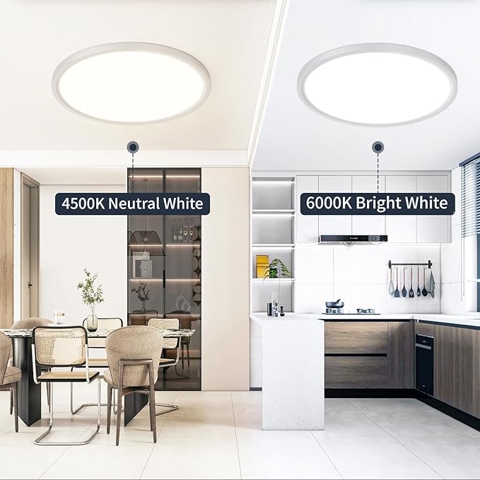 20 Inch Flush Mount Ceiling Light, Bright 40W Dimmable LED Fixture 4000LM, 3000K/4500K/6000K Adjustable, Durable Round Ceiling Lamp for Bedroom, Kitchen, Living Room, Dining Room, Bathroom, Silver