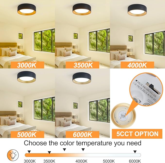 Dimmable Modern LED Flush Mount Ceiling Light,11.8 Inch 5CCT 24W/3000K-6000K,Minimalist Round Black and Gold Close to Ceiling Lighting Fixtures for Kitchen,Hallway,Laundry Room,Entryway,Porch