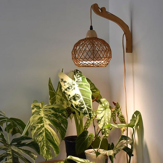 Bstrip Hanging Grow Lights for Indoor Plants, 18W Full Spectrum Plant Light, Boho Rattan Lantern Shade, 3800K Wall-Mounted Decorative Grow Light with 9.8FT Power Cord for Indoor Plant Growing, Flowers