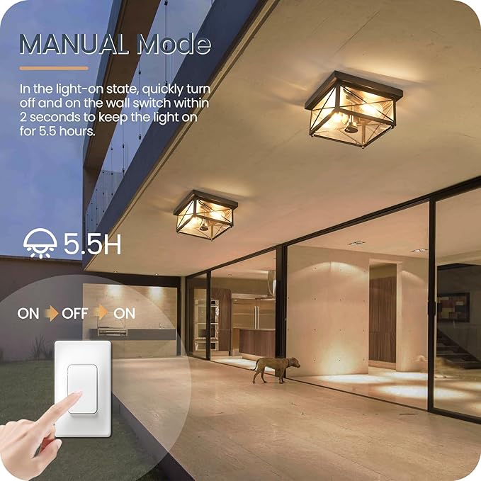 Outdoor Ceiling Light Fixture, Motion Sensor Outdoor Porch Light Ceiling Mount, 2-Light Metal Close to Ceiling Light Fixture with Glass Shade, 3 Modes, Bulbs Not Included, Black BT09XD05