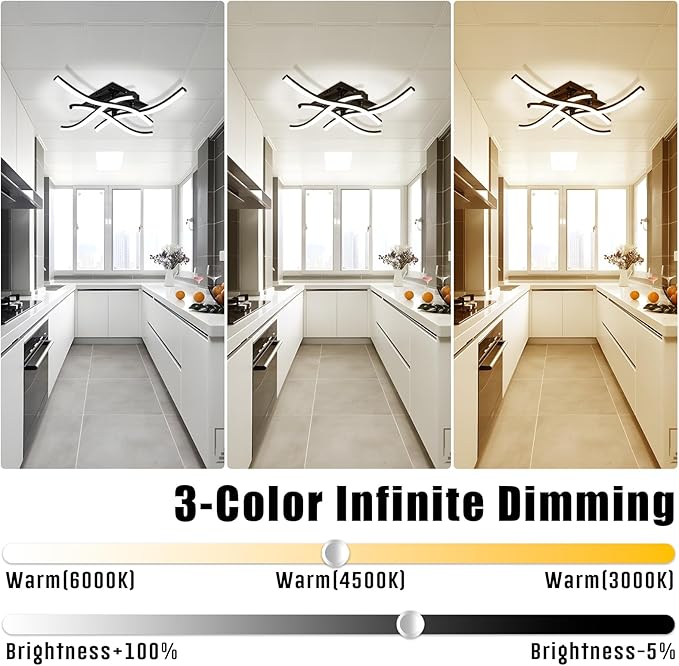 24W Modern LED Ceiling Light Fixture, 19.7Inch Curved Wave Ceiling Lamp with Remote & Timing Function for Bedroom, Kitchen, Hallway, Foyer Library Dining Room Black 6000K