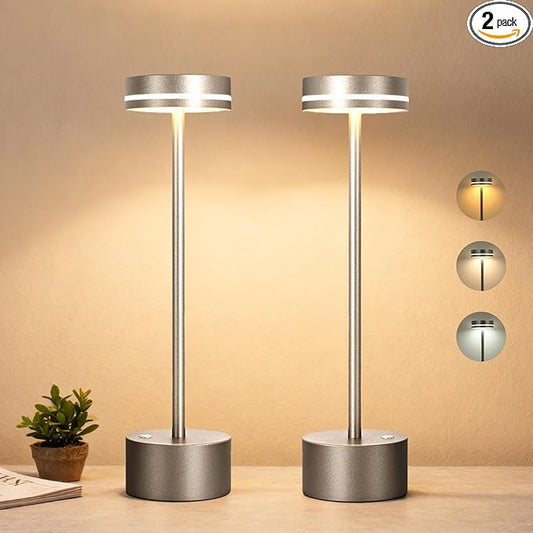 Cordl ess Table Lamp Rechargeable, Touch Desk Lamp with 5000mAh Battery, 3 Color Dimmable Light, Small Portable Aluminum Light for Outdoor/Patio/Dining/Tabletop/Bar, Home Decor (Silvery 2PK)