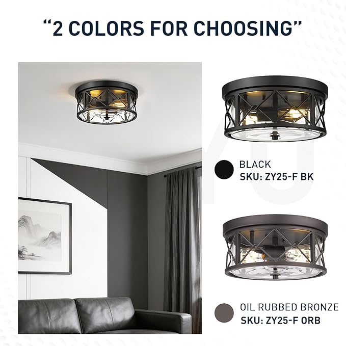 zeyu 2-Light Flush Mount Ceiling Light Fixtures, 12 Inch Lighting Fixture for Kitchen with Clear Glass, Black Ceiling Light, ZY25-F BK