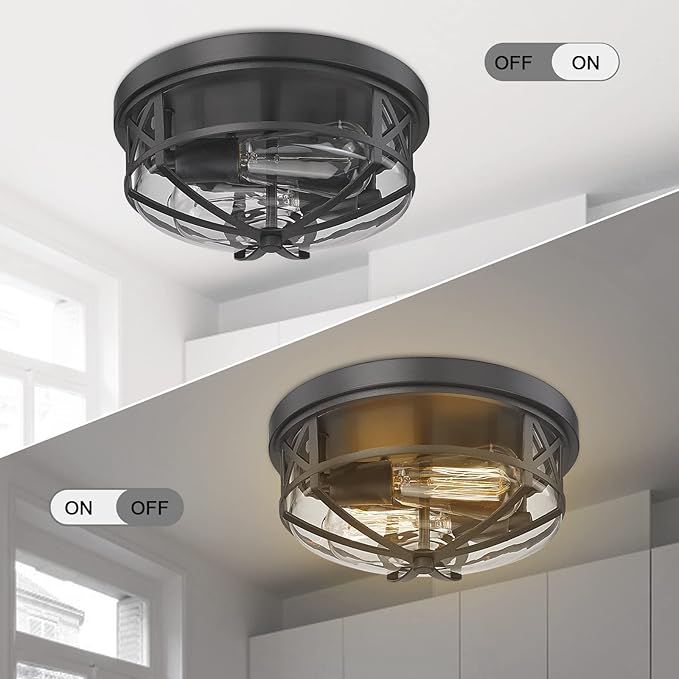Darkaway Flush Mount Ceiling Light Fixtures Ceiling with Clear Glass Shade, Indoor Outdoor Ceiling Light for Hallway Entryway Bedroom Porch Kitchen 2-Light E26