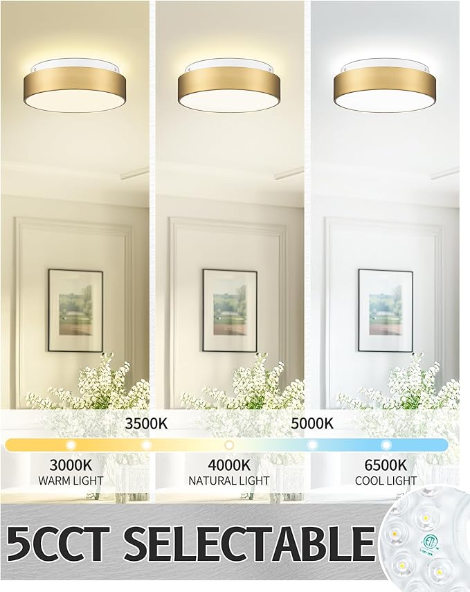 AUTELO LED Close to Ceiling Light Fixture 12" LED 18W Flush Mount Ceiling Light Fixtures with Frosted Glass Shade in Brass Finish for Kitchen LivingRoom Hallway Bedroom C3312 BRZ LED