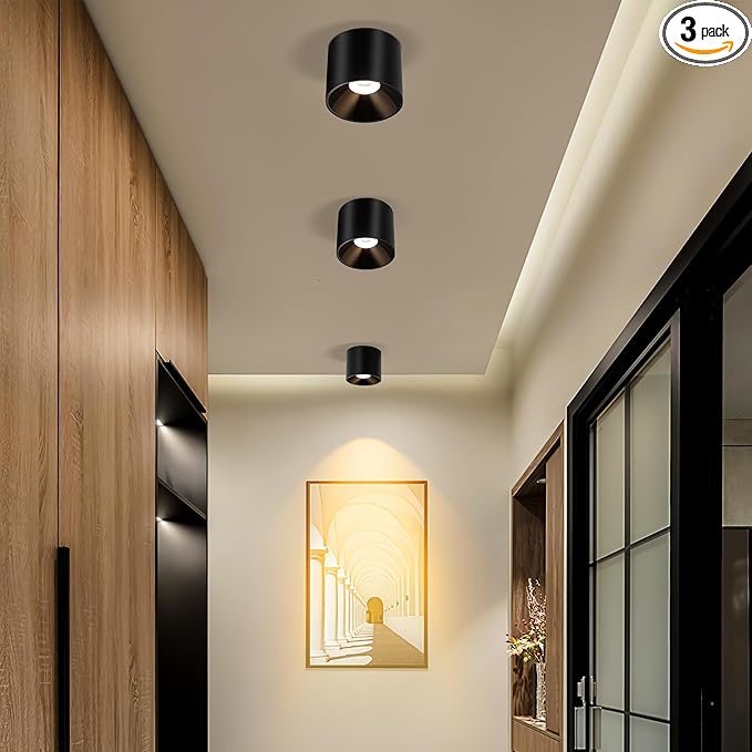 Ceiling Light Fixture, Flush Mount Dimmable Ceiling Lights, Modern LED Cylinder Ceiling Light Spot Lights Indoor for Living Room Hallway Entryway Kitchen, 3000K, Black, 3 Pack