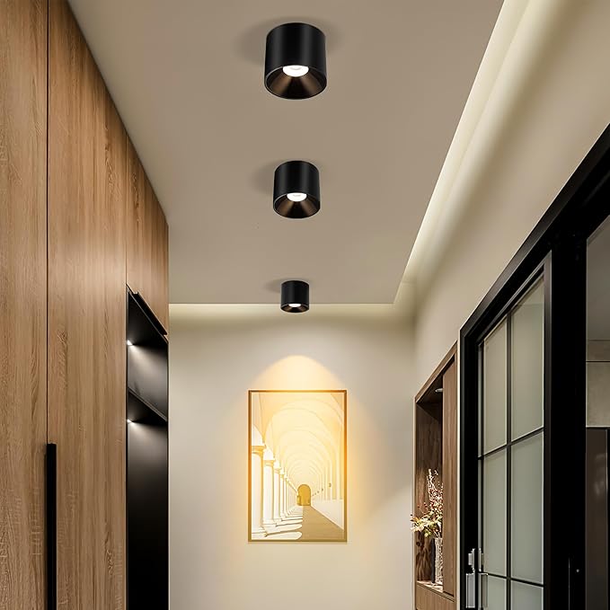 Flush Mount Dimmable Ceiling Light, Modern Close to Ceiling Light Fixtures for Hallway, Closet, LED 3000K Black Cylinder Ceiling Light Spot Lights for Living Room Kitchen Entryway Foyer