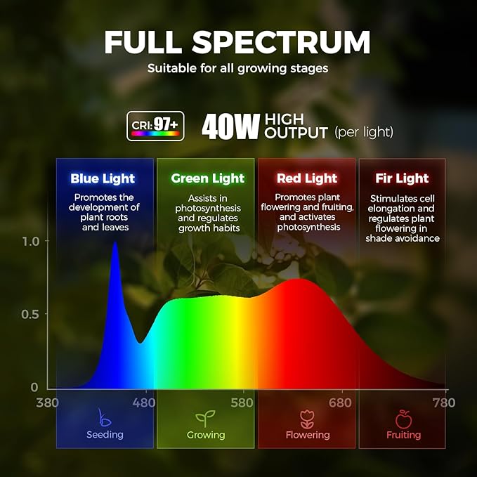 Barrina TR40c Track Grow Light for Indoor Growing, 3 x 40W, 15°-60° Adjustable Beam Angle, 4000K Ceiling Mount Full Spectrum Grow Lamp, LED H-Type Plant Light Bulbs for House Plants with Timer, Blcak