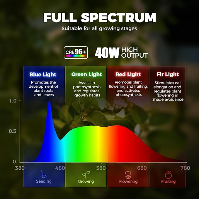 Barrina TR40a Track Grow Light for Indoor Plants, 40W Wall-Mounted Grow Bulbs with Adjustable Beam Angle (15°-60°), 5000K Full Spectrum Plant Spotlight with Timer & 16.4' Power Cord, 1-Pack