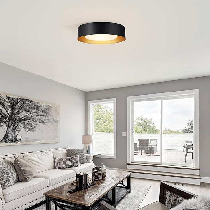 Modern Black and Gold Flush Mount Ceiling Lights, 16.5" Minimalist Glass Round Ceiling Lighting, Drum Close to Ceiling Light Fixtures for Living Room, Bedroom, Dining Room, Kitchen, Hallways