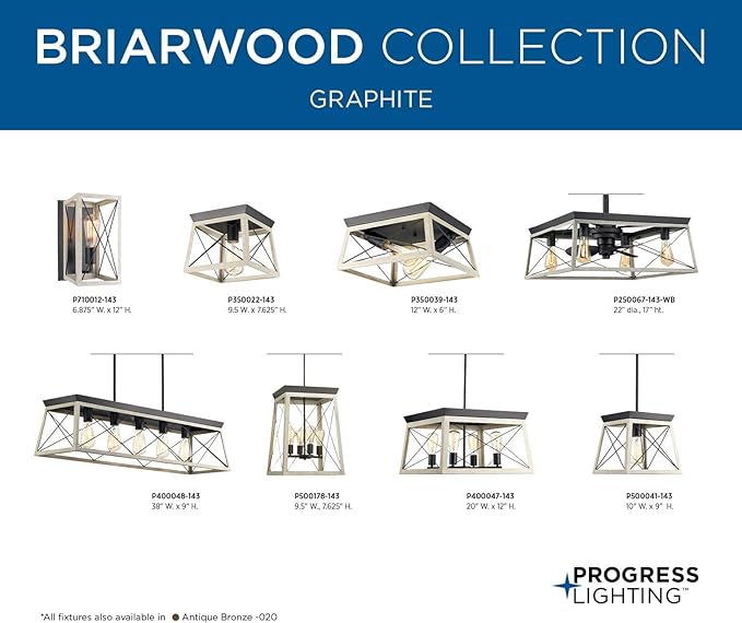 Progress Lighting Briarwood Collection 2-Light Ceiling Light, Flush Mount Ceiling Light Fixture for Interior Kitchen Lights, Hallway, Bedroom, Living Room, 12-Inch by 6-Inch, Graphite