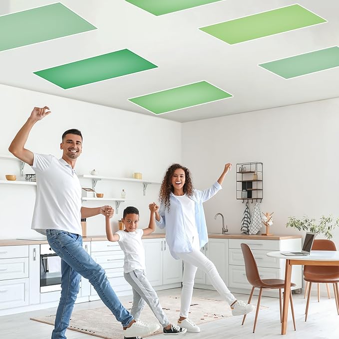 QOUBAI 4PCS Fluorescent Light Covers, 4x2 Feet Magnetic Light Cover Fluorescent Lights Shade Panel Positive Inspirational Ceiling Lights Filters for Office Classroom Home Drop Ceiling Green