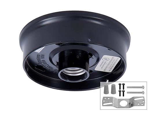 B&P Lamp® 4 Inch Fitter Wired Flush Mount Ceiling Fixture, Black