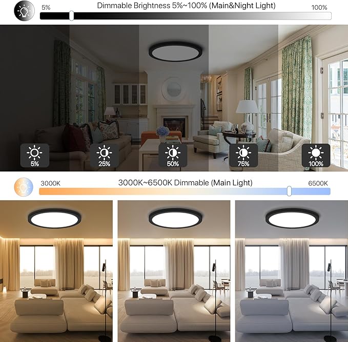 2Pack Dimmable LED Flush Mount Ceiling Light Fixture with Remote Control, 24W 2400LM, 12Inch, 2000K Warm Night Light & 3000K-6500K, Modern Super Slim Ceiling Lamp for Bedroom Kitchen, Black