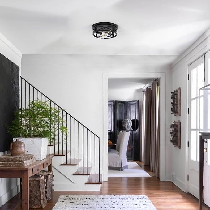 Hallway Ceiling lamp, 11 inch Farmhouse Metal cage Style,Suitable for Corridors, Entrances, Balconies, Kitchens,etc,Adjustable lamp Holders, 2 pcs, 6000K Cold White lamp (Black)