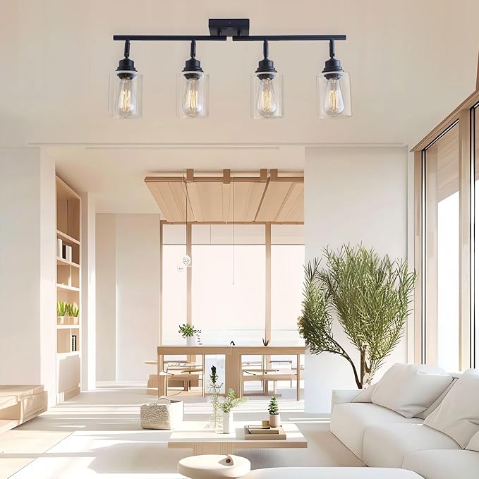 Modern 4-Light Track Lighting Fixtures Ceiling with Clear Glass Shades, E26 Base Kitchen Ceiling Light Fixture for Living Room, Bedroom & Bathroom