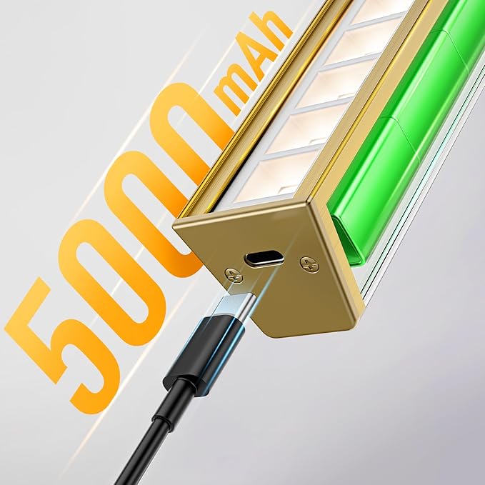 Afyuol Picture Lights for Wall, Brushed Gold Battery Operated Picture Light 16in Art Light CCT Dimmable Recharging Battery Wall Light with Remote Control for Living Room Gallery