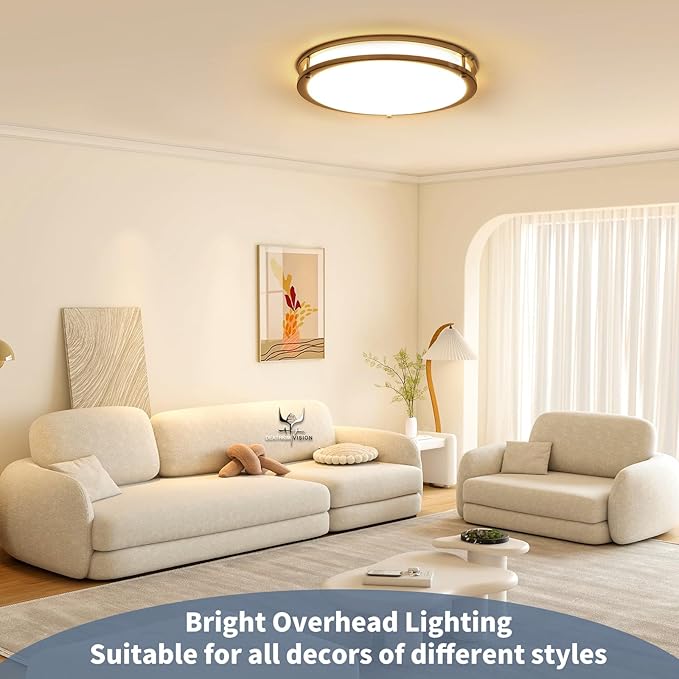 16Inch Flush Mount LED Ceiling Light Fixtures, 5CCT Adjustable 2700K 3000K 4000K 5000K 6500K, Dimmable Close to Ceiling Light for Kitchen, Bathroom, Kitchen, Bedroom, Brushed Nickel, 1 Pack