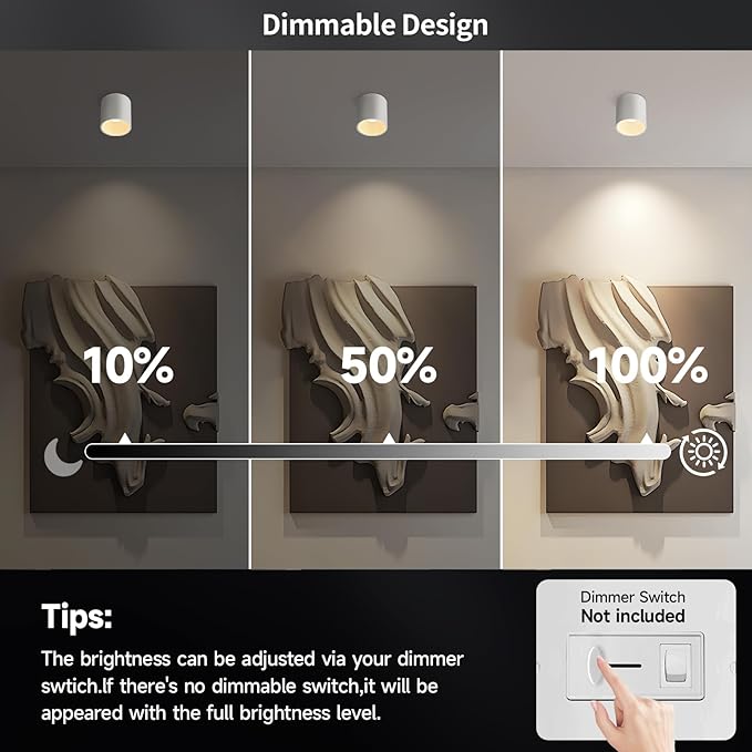 Ceiling Light Fixture LED Dimmable Modern Ceiling Spot Light, Flush Mount Ceiling Light 4.72'' Cylinder Ceiling Lamp for Living Room Hallway Foyer Dining Room 3000K 15W 1500lm CRI 90 (White)