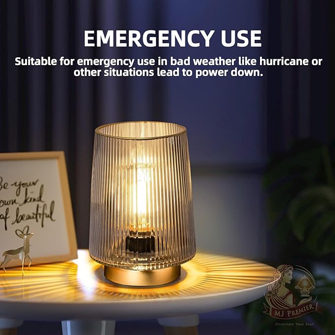 MJ Battery Operated Lamp with Timer Cordless Lamp with Timer Cozy Besides LED Light Battery Powered Small Glass Lamps for Home Decor Decorative Accent Lamps for Living Room/Entryway/Dorm (Grey)
