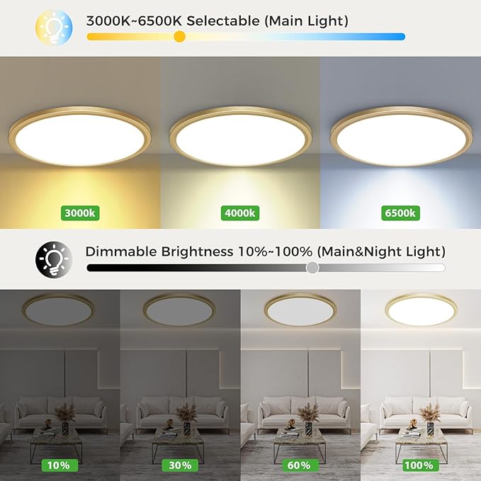zemty 12 Inch LED Ceiling Light with Night Light 1800K, 3000K/4000K/6500K Dimmable Fixture with Remote Control, Low Profile Lighting for Bedroom Living Room Kitchen - Gold