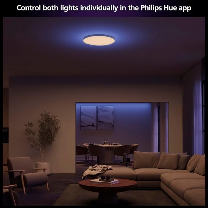 Philips Hue Datura Smart Ceiling Panel (Small Round 2.49in x 15.12in) White & Color Light, Bluetooth Compatible, Voice Control with Alexa, Apple Home & Google Assistant