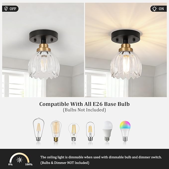 TALOYA Semi Flush Mount Ceiling Light,2 Pack Close to Ceiling Light Fixtures with Clear Tulip Glass Shades Modern Farmhouse Lighting Fixtures for Hallway Corridor Kitchen Bathroom Bedroom Passway