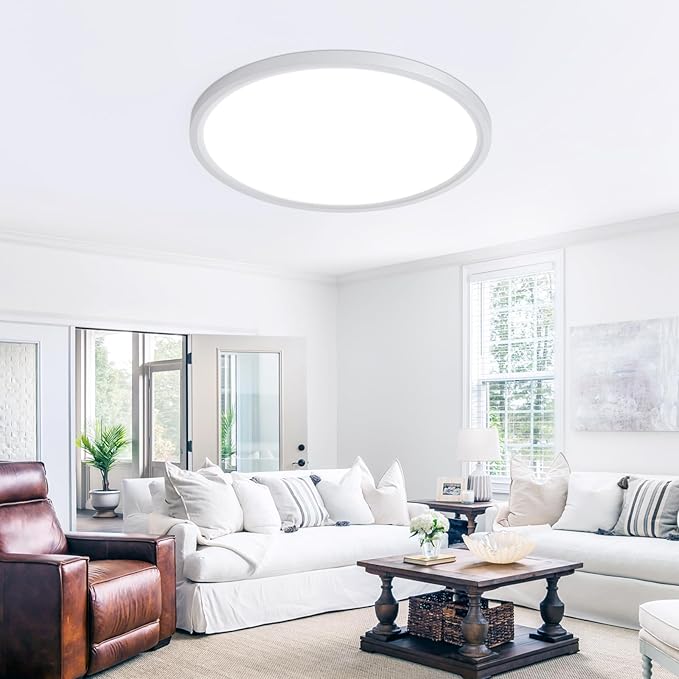 20 Inch Flush Mount Ceiling Light, Bright 40W Dimmable LED Fixture 4000LM, 3000K/4500K/6000K Adjustable, Durable Round Ceiling Lamp for Bedroom, Kitchen, Living Room, Dining Room, Bathroom, Silver