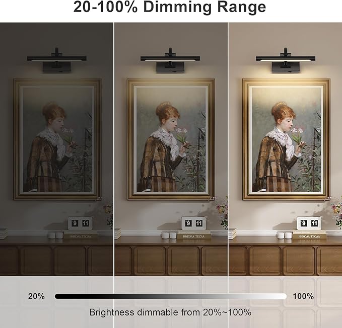 DESOOP Battery Operated Picture Lights for Wall Black Art Light Wireless Gallery Lights with Timer and Remote 12 Inch 2W Warm White