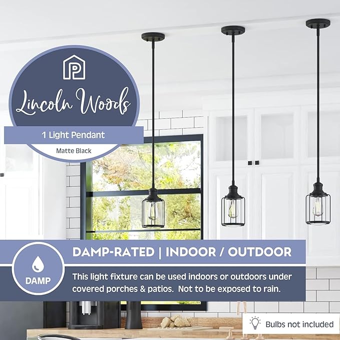 Prominence Home Lincoln Woods 1 Light Matte Black Industrial Pendant Light with Cage and Clear Glass - 51546-01