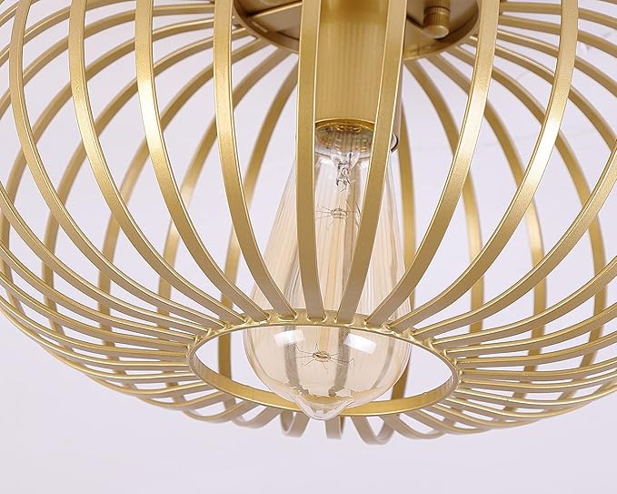 Fivess Lighting Modern Gold Flush Mount Light Fixture Metal Cage Single Semi Flush Mount Ceiling Light for Hallway Bedroom Kitchen Entryway Farmhouse