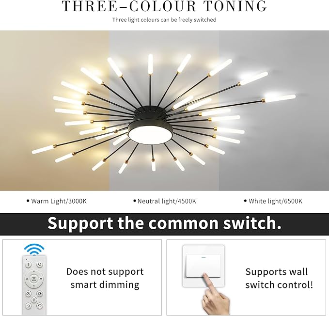 Modern LED Ceiling Light, Ring Black Flush Mount Ceiling Lights Fixture with Remote Control, Acrylic Ceiling Lamp for Bedroom Hallway Kitchen Island, 3000k-6500k Dimmable (41IN, Firework)