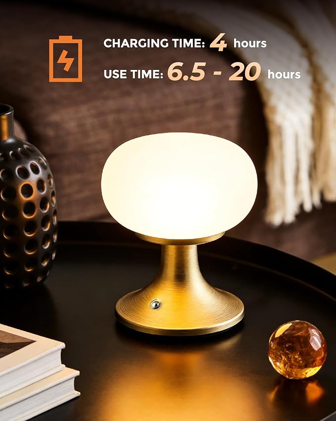 Cordless Table Lamp, LED Mushroom Lamp with Glass Shade & Stepless Dimming, Touch Control Nightstand Lamp for Bedroom,Living Room,Dining Table