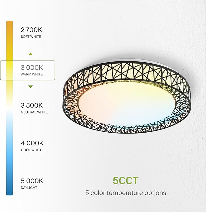 ASD 20 Inch LED Flush Mount Ceiling Light Fixture for Bedroom, 42W 2475LM 5CCT 2700K-5000K, Triac Dimmable Lights, Dining, Living Room, Kitchen Lamps, Modern Home Lighting Fixtures, Black, ETL