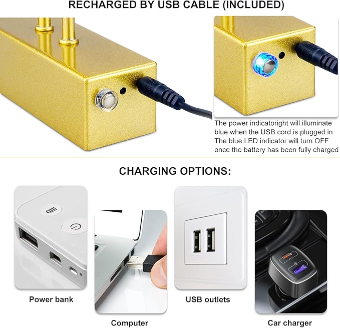Picture Light, Cordless Picture Lights for Wall with Timer and Dimmable, 16 Inch Metal Battery Operated Wall Lights with 5000mAh Battery for Display Gallery Painting Art Frame Portrait - Gold