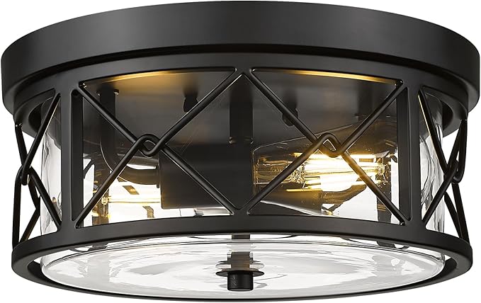 zeyu 2-Light Flush Mount Ceiling Light Fixtures, 12 Inch Lighting Fixture for Kitchen with Clear Glass, Black Ceiling Light, ZY25-F BK