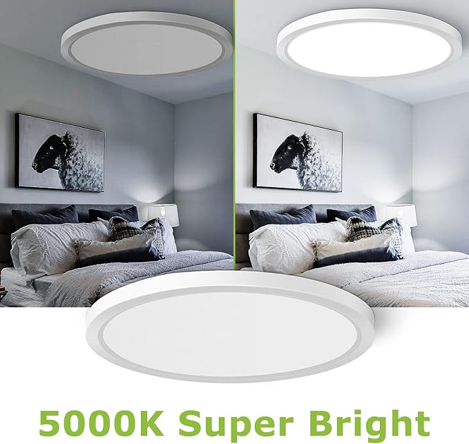 inShareplus 15.7" LED Flush Mount Ceiling Light Fixture, 32W [320W Equiv] Daylight 5000K Thin Flat Modern Ceiling Light for Bedroom, Living Room, Office