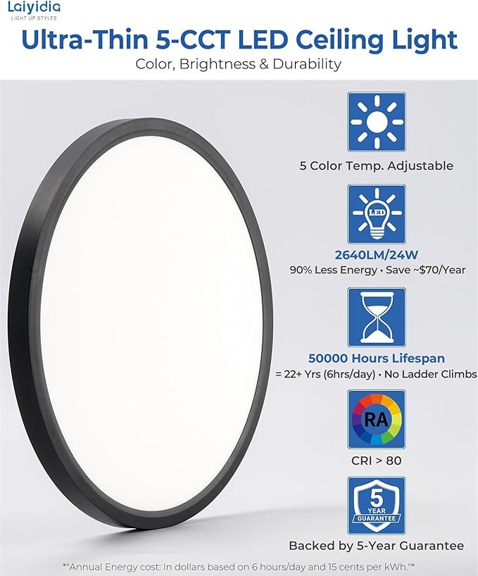 24Watts 2640LM Flush Mount Ceiling Light, 5 CCT Selectable 2700K-6500K, 12 Inch Ultra Thin Flat Panel LED Light Fixture for Bedroom Kitchen Hallway Closet Room, Matte Black,1-Pack