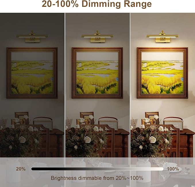DESOOP Wireless Picture Lights for Wall Rechargeable Brass Gallery Lights Battery Operated Art Lamps with Remote and Timer Dimmable Painting Lights for Artwork Portrait Display 12 Inch 2W 2700K