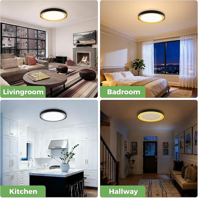 zemty 13inch Morden Black LED Flush Mount Ceiling Lights with Remote, 3 Color Temperature Selectable/Dimmable, 24W 2400LM Light Fixture with Amber Night Light for Bedroom Bathroom Kitchen Basement