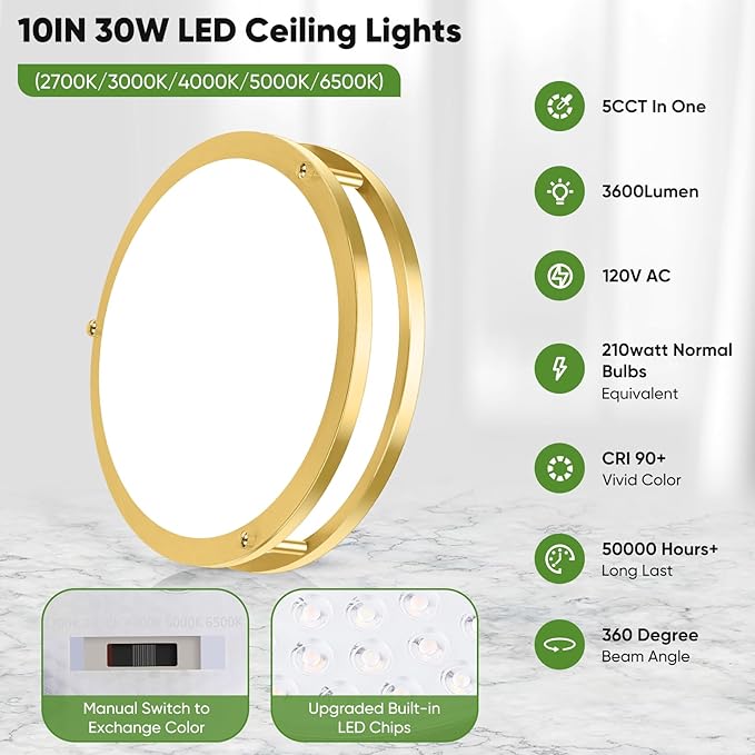 10 Inch LED Flush Mount Ceiling Lights, Gold Kitchen Lighting Fixtures with 2700K/3000K/4000K/5000K/6500K 5 Color Adjusted, Dimmable Modern Round LED Lights for Bedroom Living Room Laundry, 2-Pack