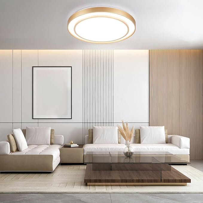 2Pack 20" LED Flush Mount Ceiling Light Fixture Gold, 36W Dimmable Light Fixture Ceiling Mount Round Overhead, Modern Close to Ceiling Light for Living Room, Foyer, Kitchen, Bedroom