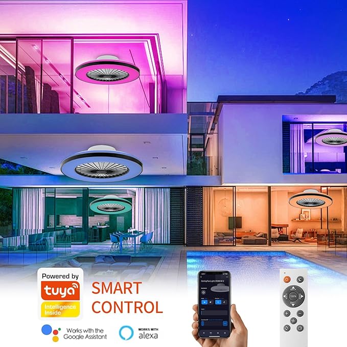 Modern LED Ceiling Light with Fan, RGB Ceiling Fan Lights, 24 Ventilation speeds, infinitely dimmable Light for Living Room, Bedroom, Office, 3000-5500 K (Black & 20" & RGB)