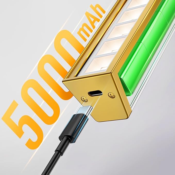 Afyuol Picture Lights for Wall, Battery Operated Picture Light 16in Art Light CCT Dimmable Recharging Battery Wall Light with Remote Control for Living Room Gallery Gold 2PCS