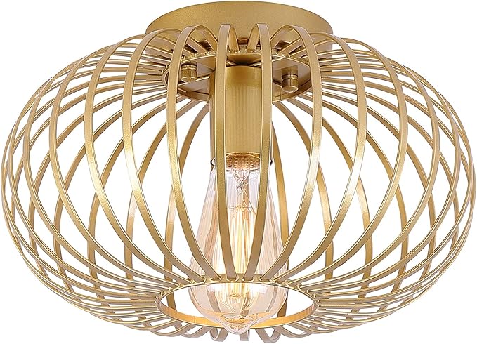 Fivess Lighting Modern Gold Flush Mount Light Fixture Metal Cage Single Semi Flush Mount Ceiling Light for Hallway Bedroom Kitchen Entryway Farmhouse
