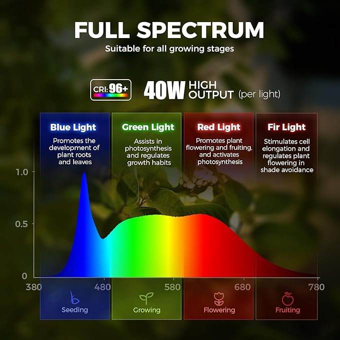 Barrina TR40c Track Grow Light System for Indoor Plants, 3 x 40W Heads, 5000K Full Spectrum Ceiling Grow Spotlight with 15°-60° Adjustable Beam Angle for Greenhouse with Timer, Black H-Type Rail