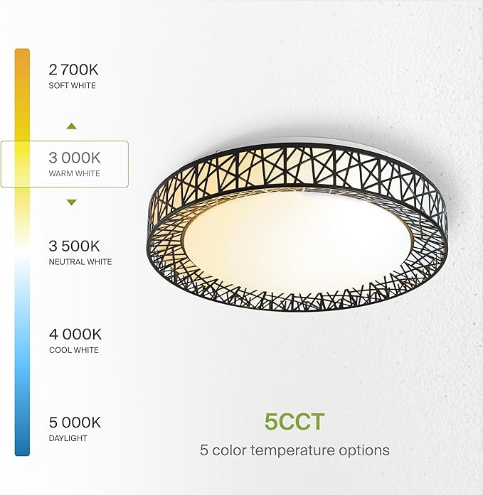ASD 20 Inch LED Flush Mount Ceiling Light Fixture for Bedroom, 42W 2475LM 5CCT 2700K-5000K, Triac Dimmable Lights, Dining, Living Room, Kitchen Lamps, Modern Home Lighting Fixtures, Black, ETL, 2 Pack