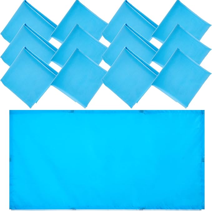 Hortsun 12 Pcs Fluorescent Light Covers 2 x 4 ft Classroom Ceiling Light Cover Magnetic Filters Fluorescent Diffuser Covering for Classroom Office Hospital Drop Ceiling(Blue)