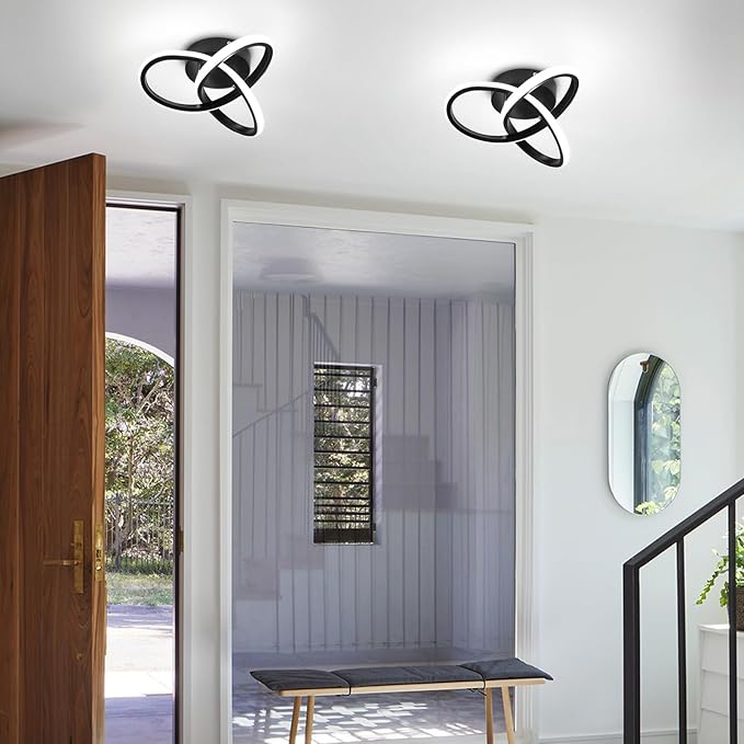 EIDISUNY Modern LED Ceiling Light, 2 Rings Creative Black Hallway Ceiling Lighting 6000K Flush Mount Ceiling Lights for Kitchen Bathroom Cool White Light 22W (Black)