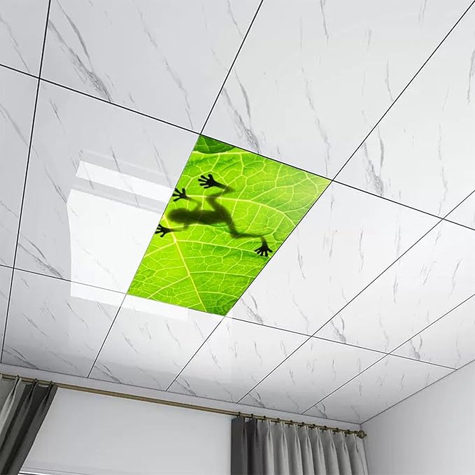 2 Pack Fluorescent Light Cover for Ceiling, Funny Frog Magnetic Classroom Lights Covers, School Supplies for Home Office